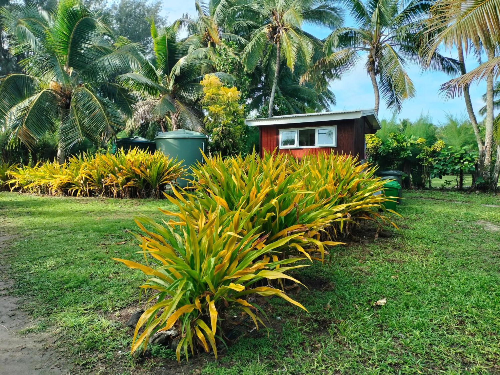 Oronga Beach Arorangi Exterior photo